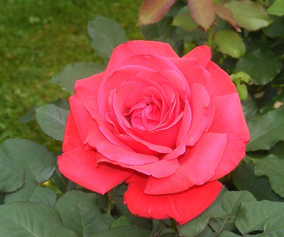 Legends photo leg2014_06240009_zps5626c845.jpg